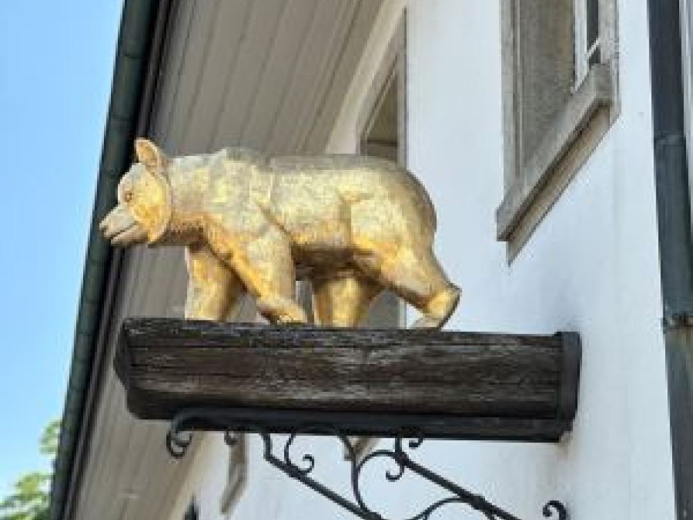 GüggeliBären 5506 Mägenwil GüggeliBären 5506 Mägenwil